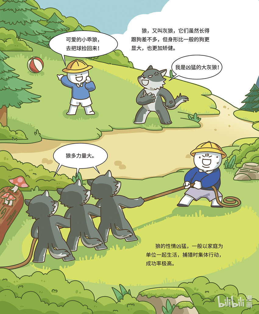 《小蓝带你逛动物园》第六章 有纪律的狼群 第3页