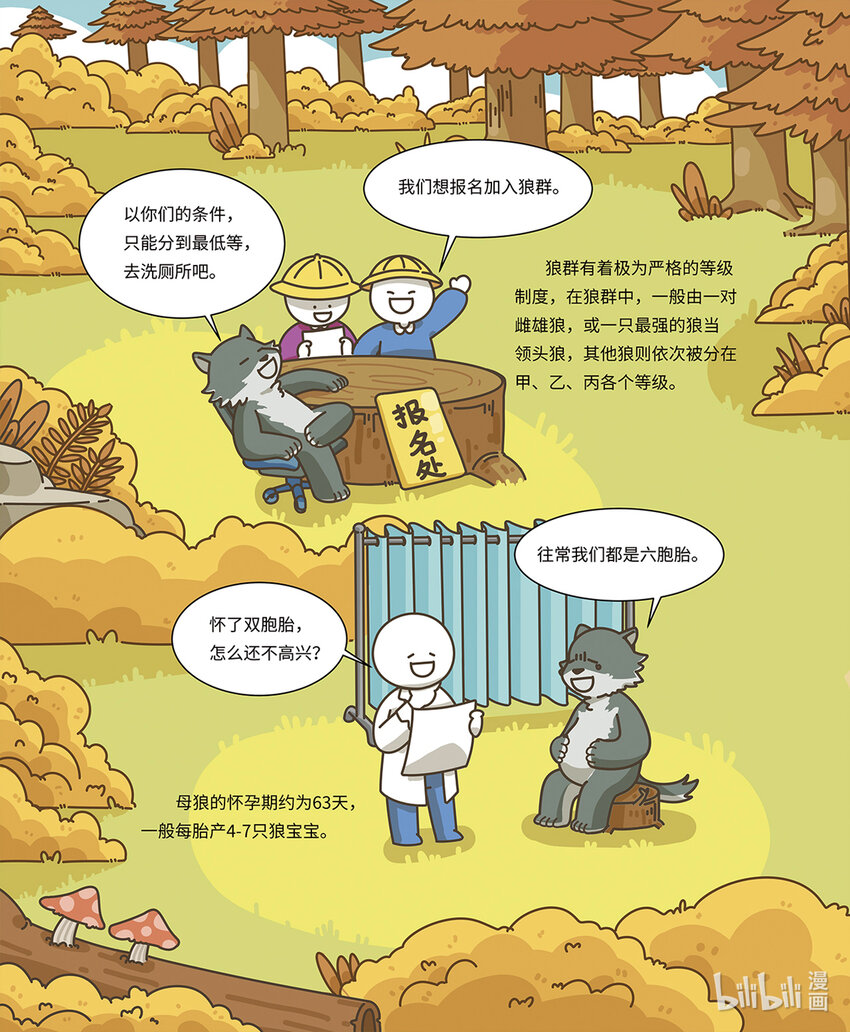 《小蓝带你逛动物园》第六章 有纪律的狼群 第5页