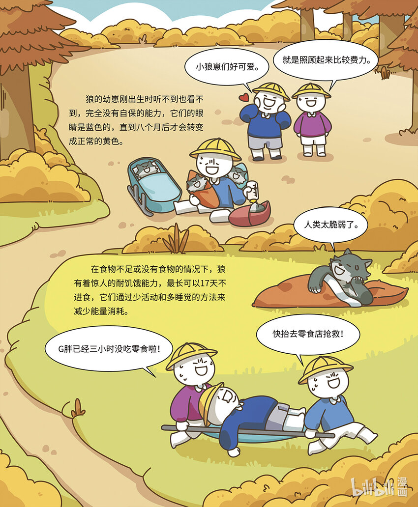 《小蓝带你逛动物园》第六章 有纪律的狼群 第6页