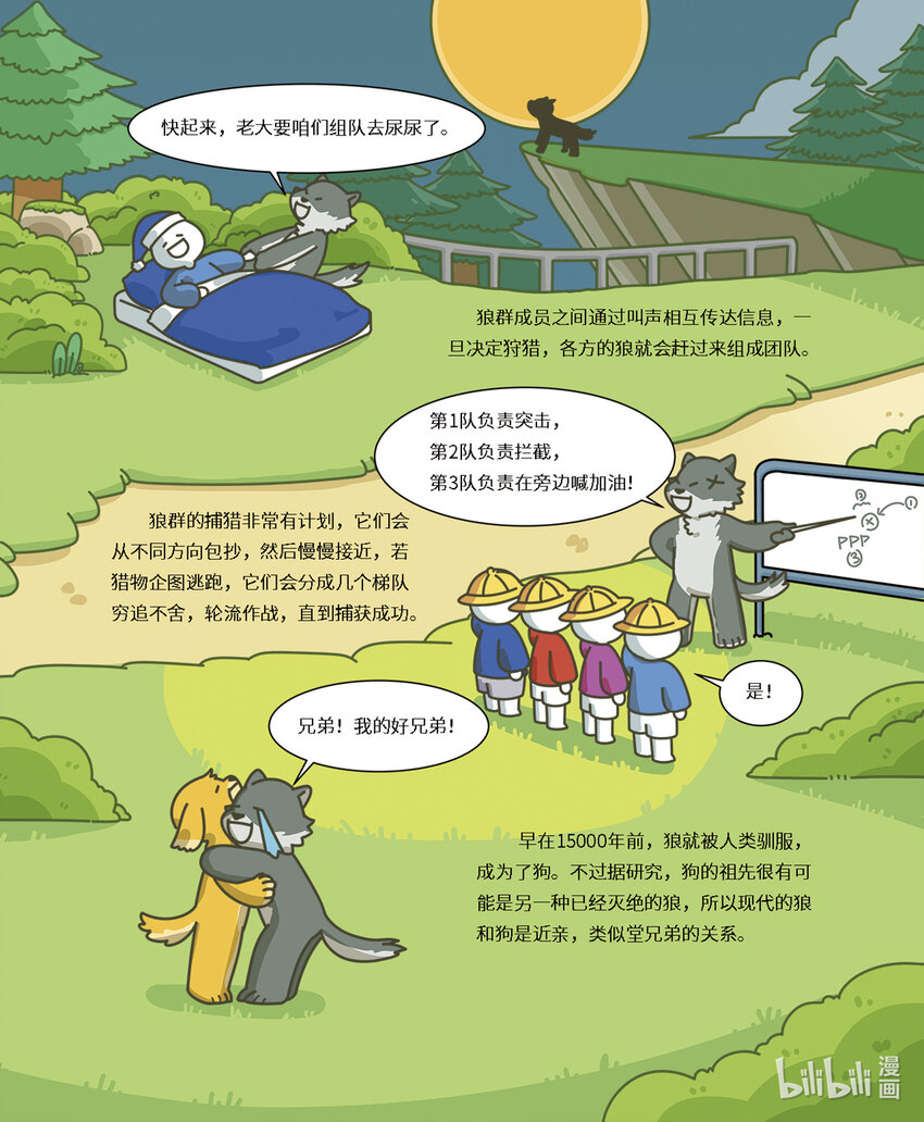 《小蓝带你逛动物园》第六章 有纪律的狼群 第8页