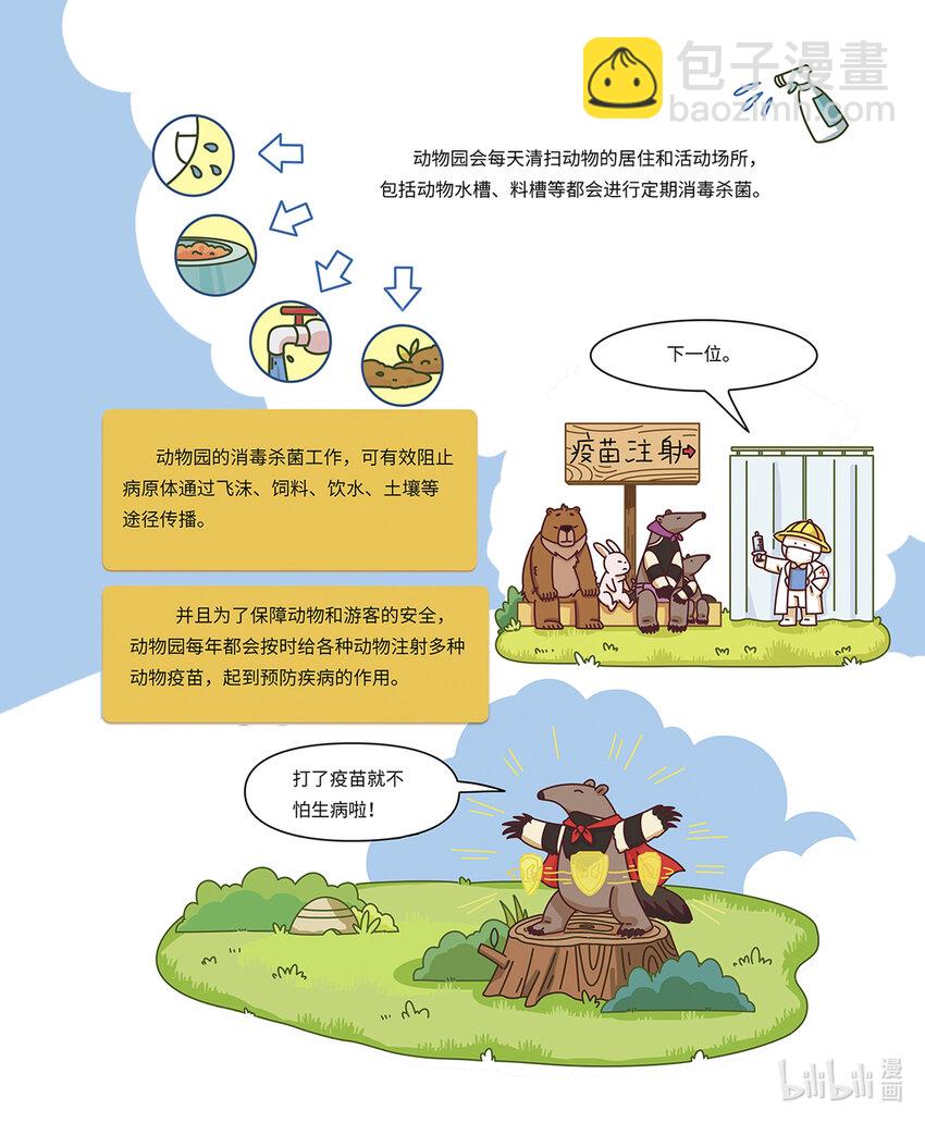 《小蓝带你逛动物园》第八章 “长舌怪”食蚁兽 第10页