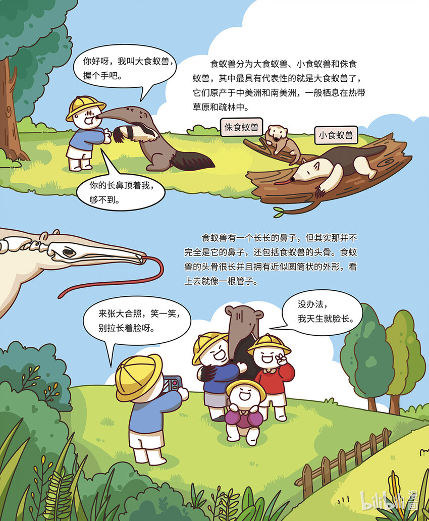 《小蓝带你逛动物园》第八章 “长舌怪”食蚁兽 第3页
