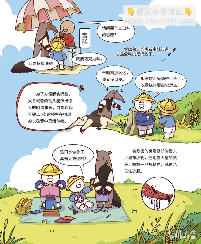 《小蓝带你逛动物园》第八章 “长舌怪”食蚁兽 第4页