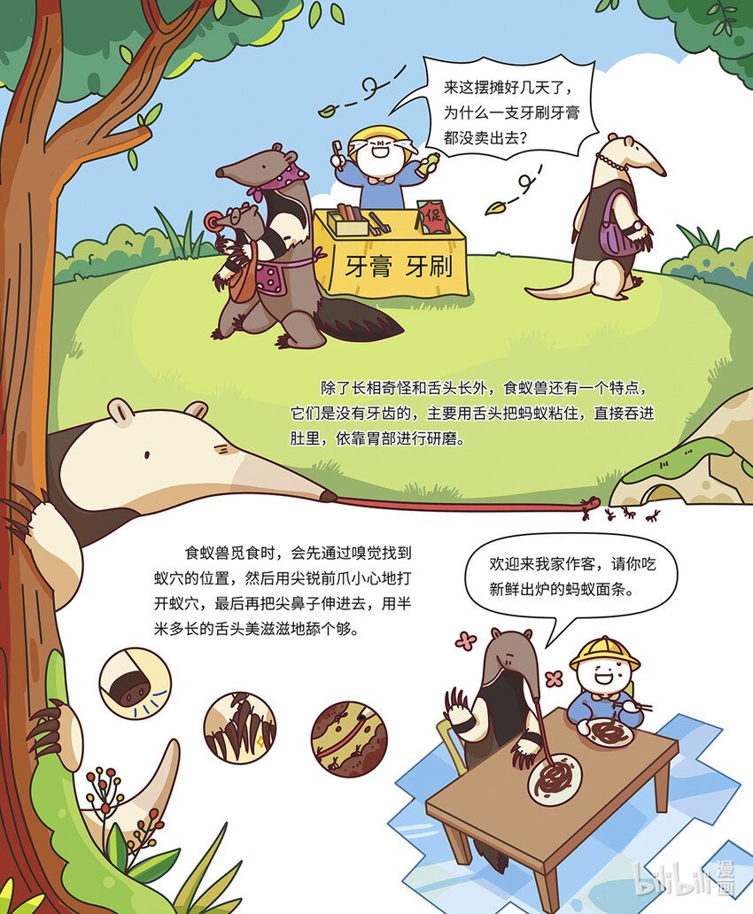 《小蓝带你逛动物园》第八章 “长舌怪”食蚁兽 第6页