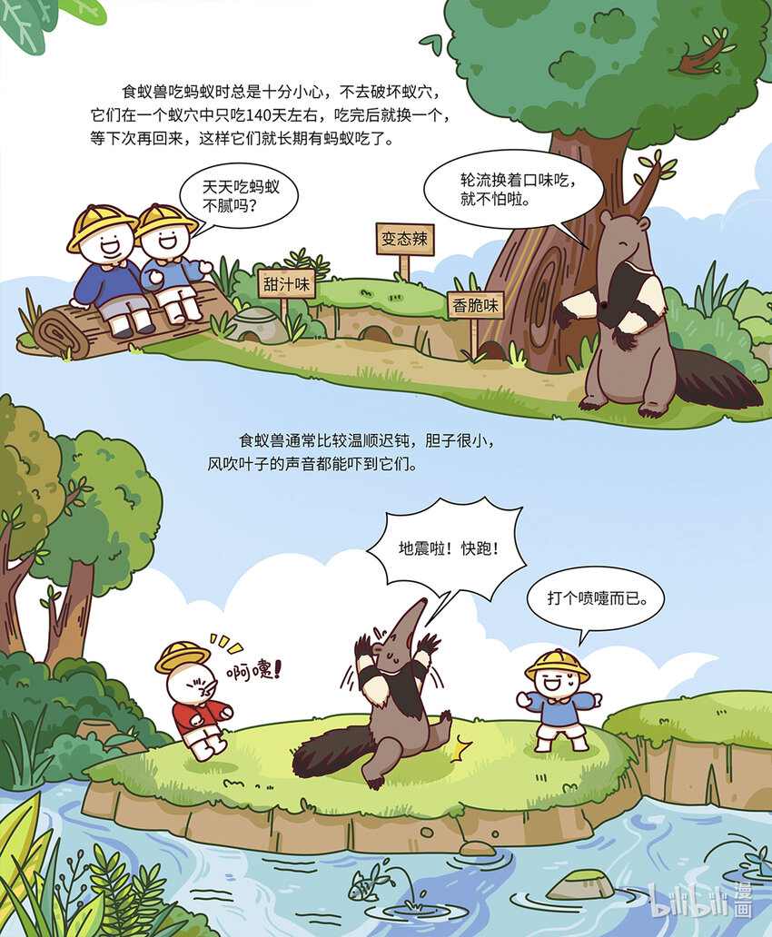 《小蓝带你逛动物园》第八章 “长舌怪”食蚁兽 第7页