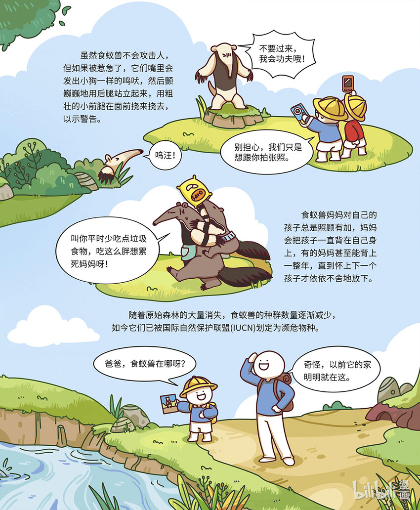 《小蓝带你逛动物园》第八章 “长舌怪”食蚁兽 第8页