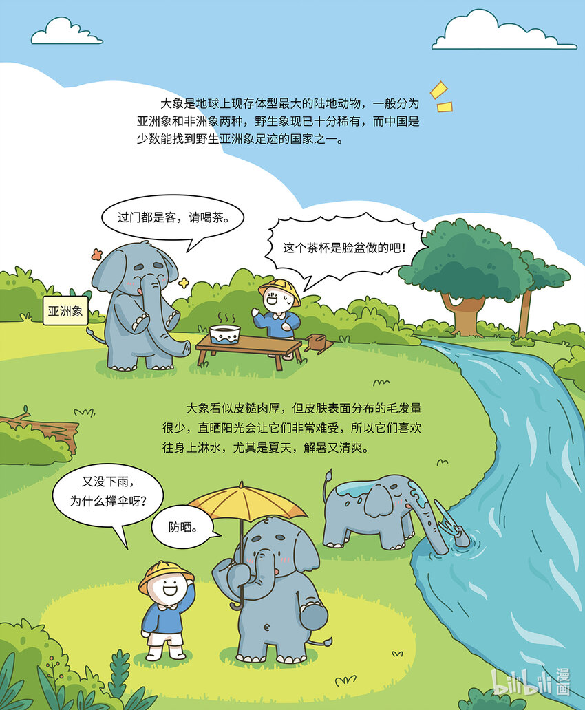 《小蓝带你逛动物园》第九章 无所不能的大长鼻 第4页