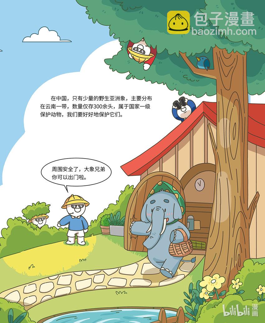 《小蓝带你逛动物园》第九章 无所不能的大长鼻 第9页