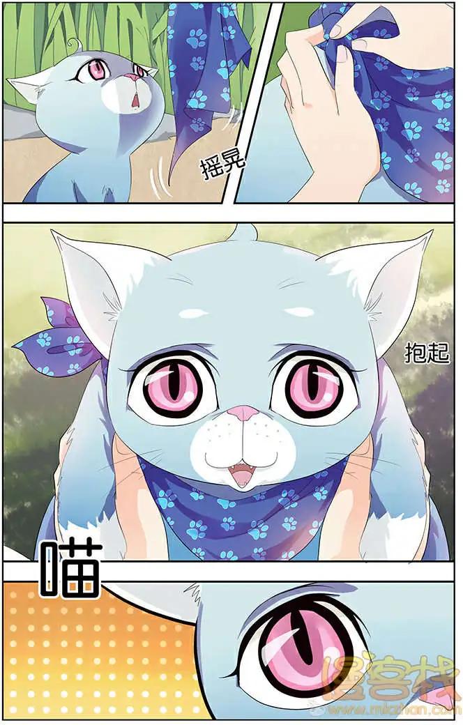 《燃烧吧，节操！》进击的猫咪篇 第11页