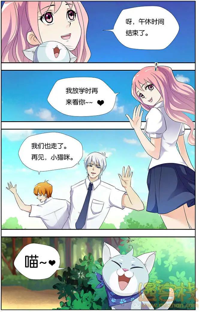 《燃烧吧，节操！》进击的猫咪篇 第17页