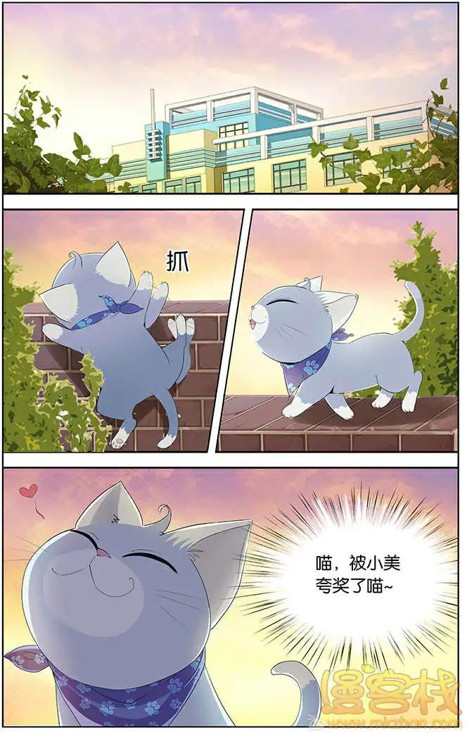 《燃烧吧，节操！》进击的猫咪篇 第18页