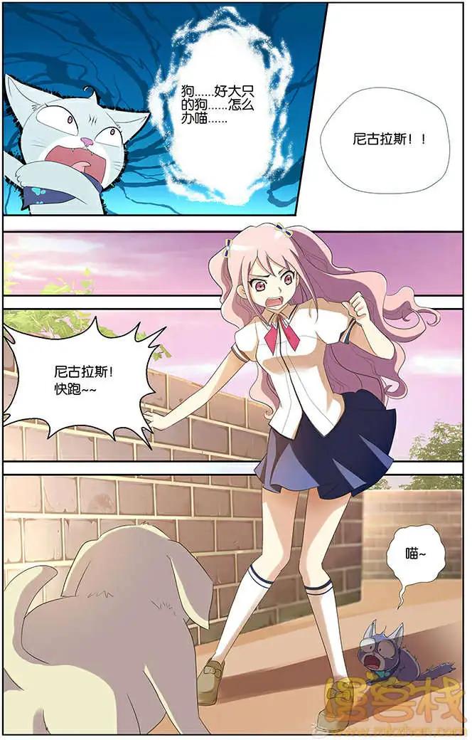 《燃烧吧，节操！》进击的猫咪篇 第20页