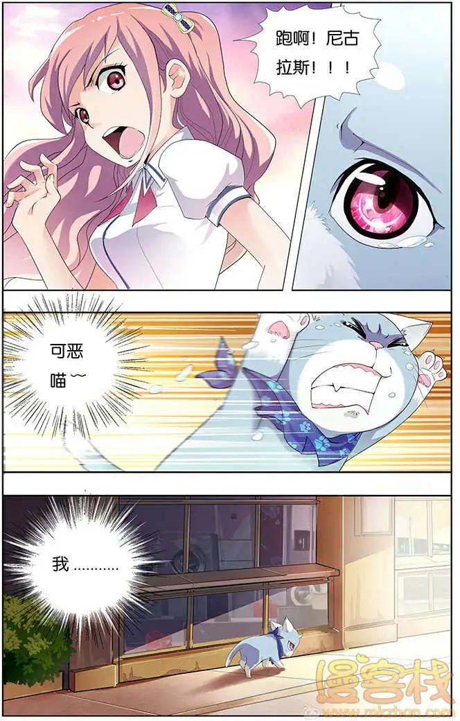 《燃烧吧，节操！》进击的猫咪篇 第21页