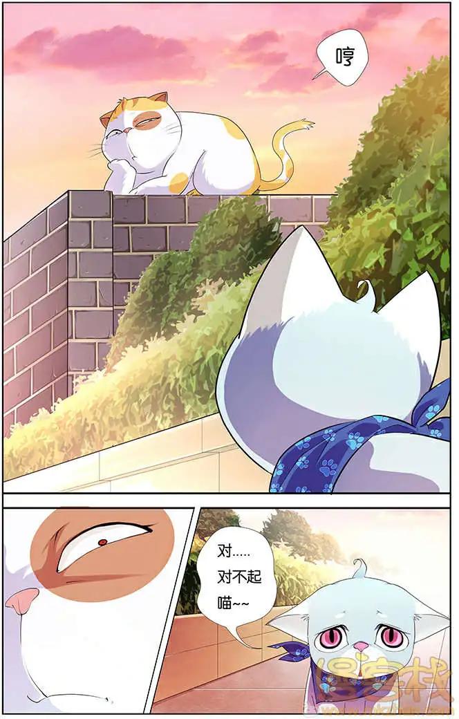 《燃烧吧，节操！》进击的猫咪篇 第23页
