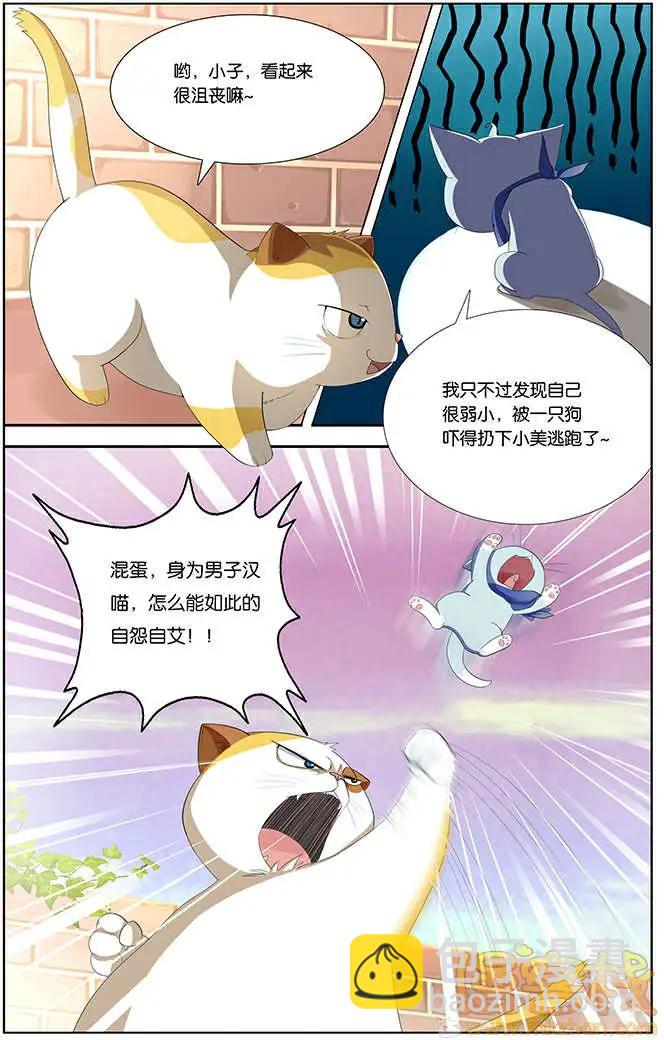 《燃烧吧，节操！》进击的猫咪篇 第24页