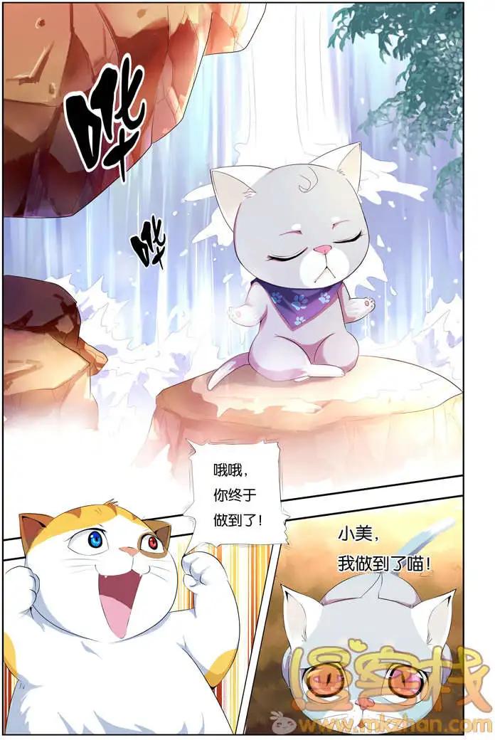 《燃烧吧，节操！》进击的猫咪篇 第31页