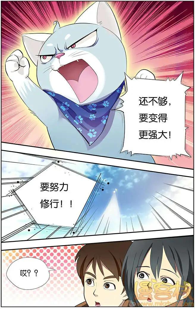 《燃烧吧，节操！》进击的猫咪篇 第39页