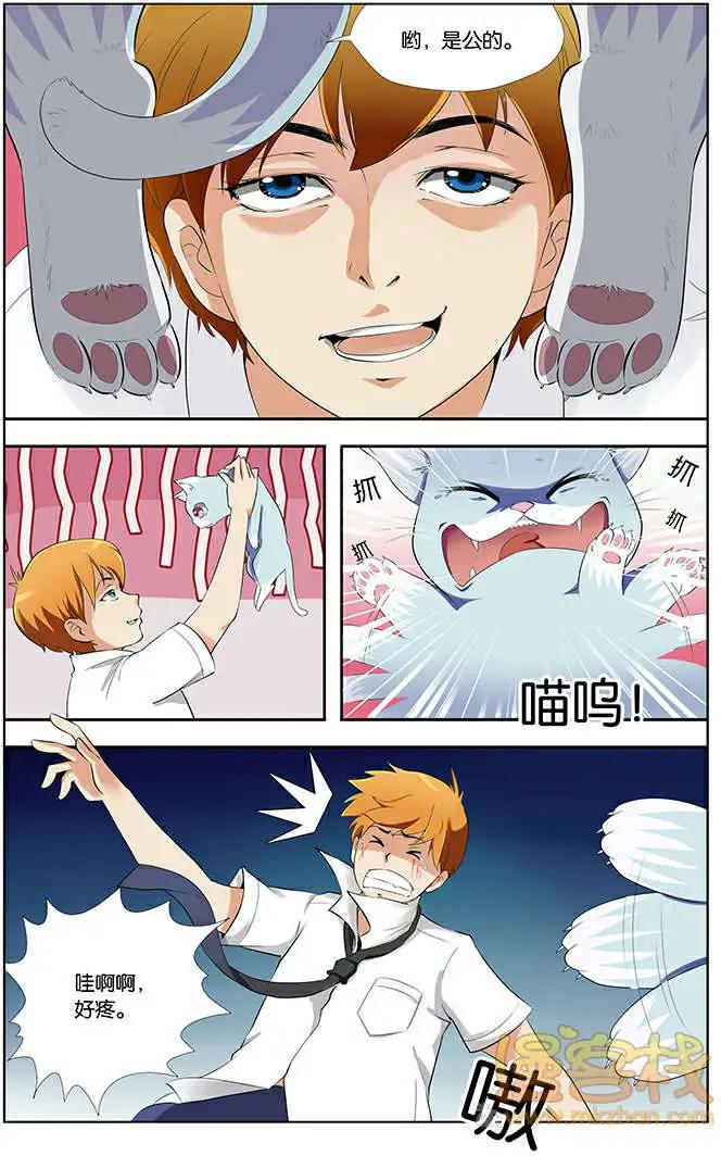 《燃烧吧，节操！》进击的猫咪篇 第6页