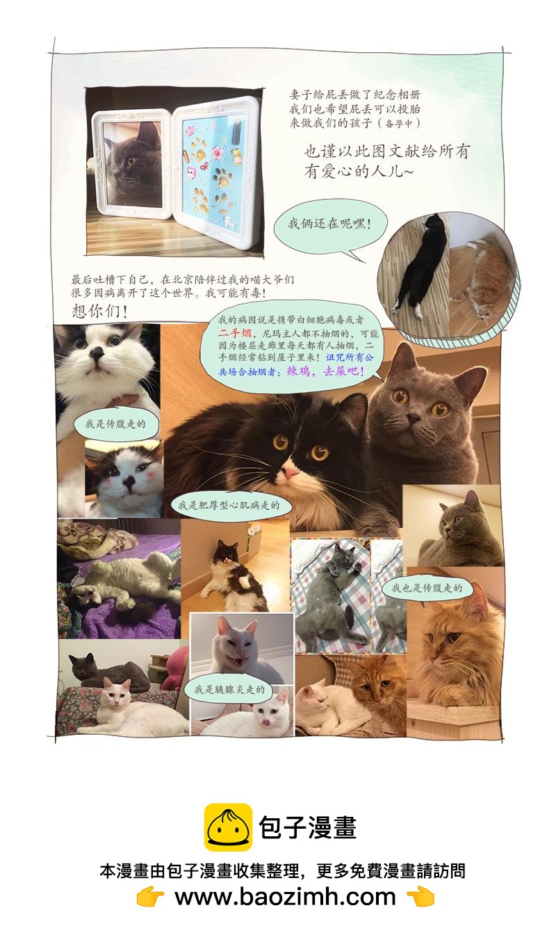 《明叔的小世界》2.我的主人不是人 第15页