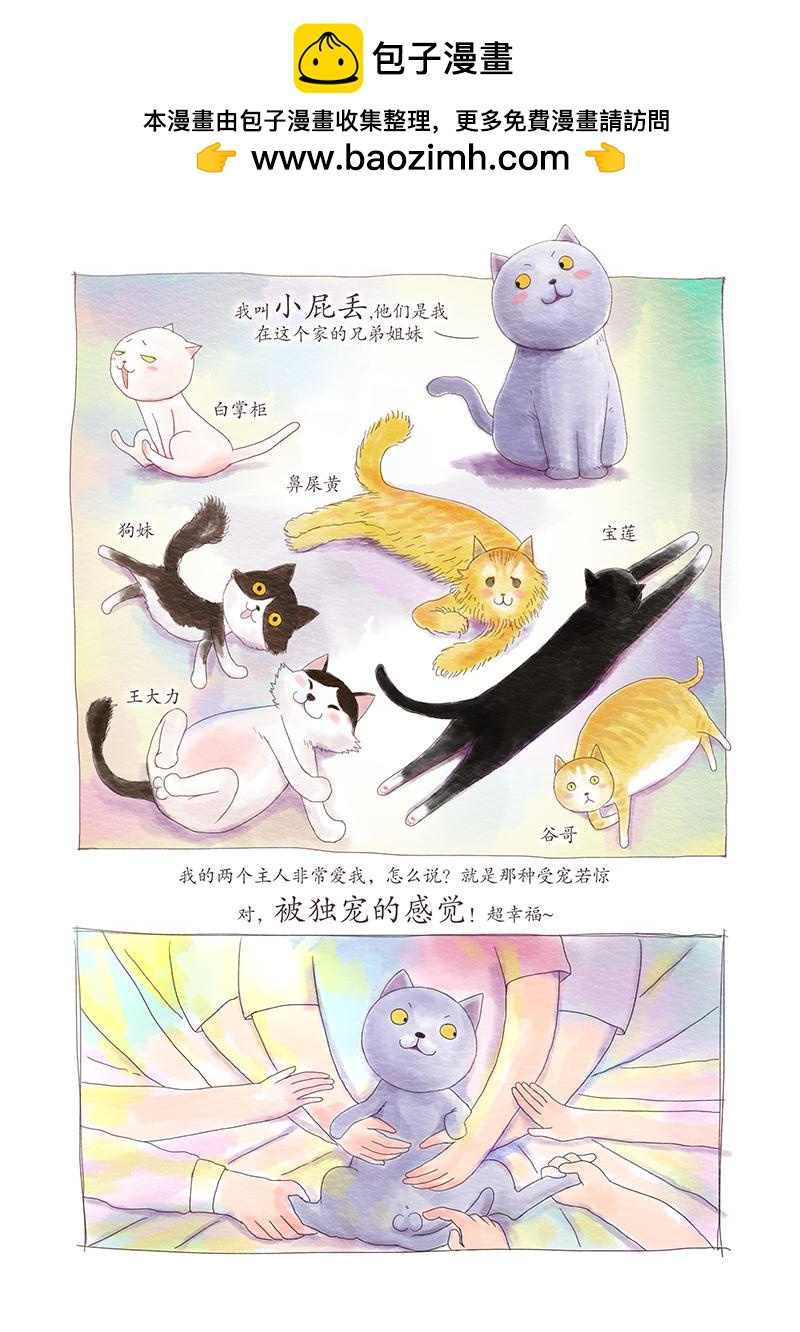 《明叔的小世界》2.我的主人不是人 第2页