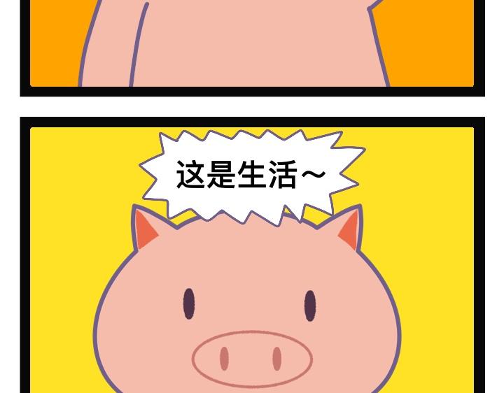 《熊玉与猪宝》独特艺术 第8页
