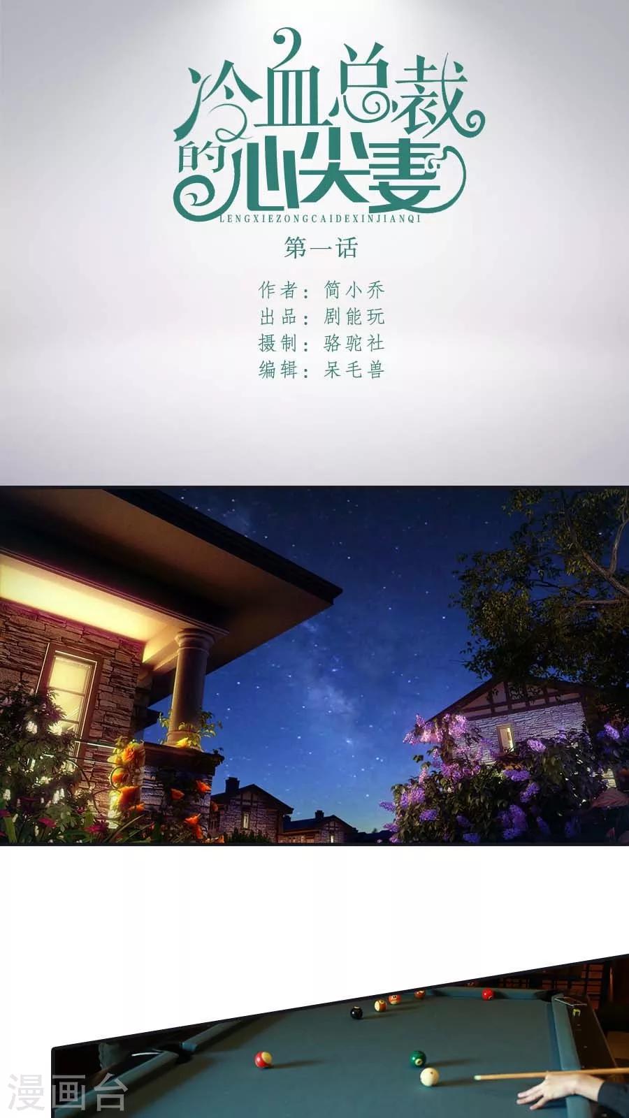 《冷血总裁的心尖妻》第1话 第1页