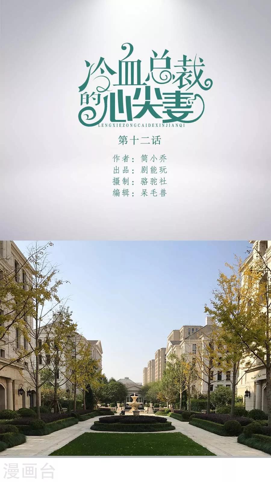 《冷血总裁的心尖妻》第12话 第1页