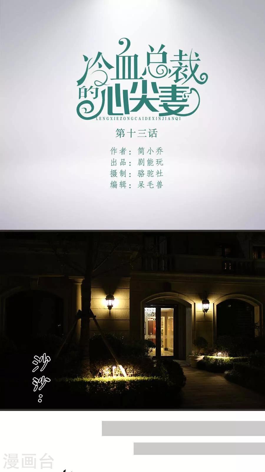 《冷血总裁的心尖妻》第13话 第1页