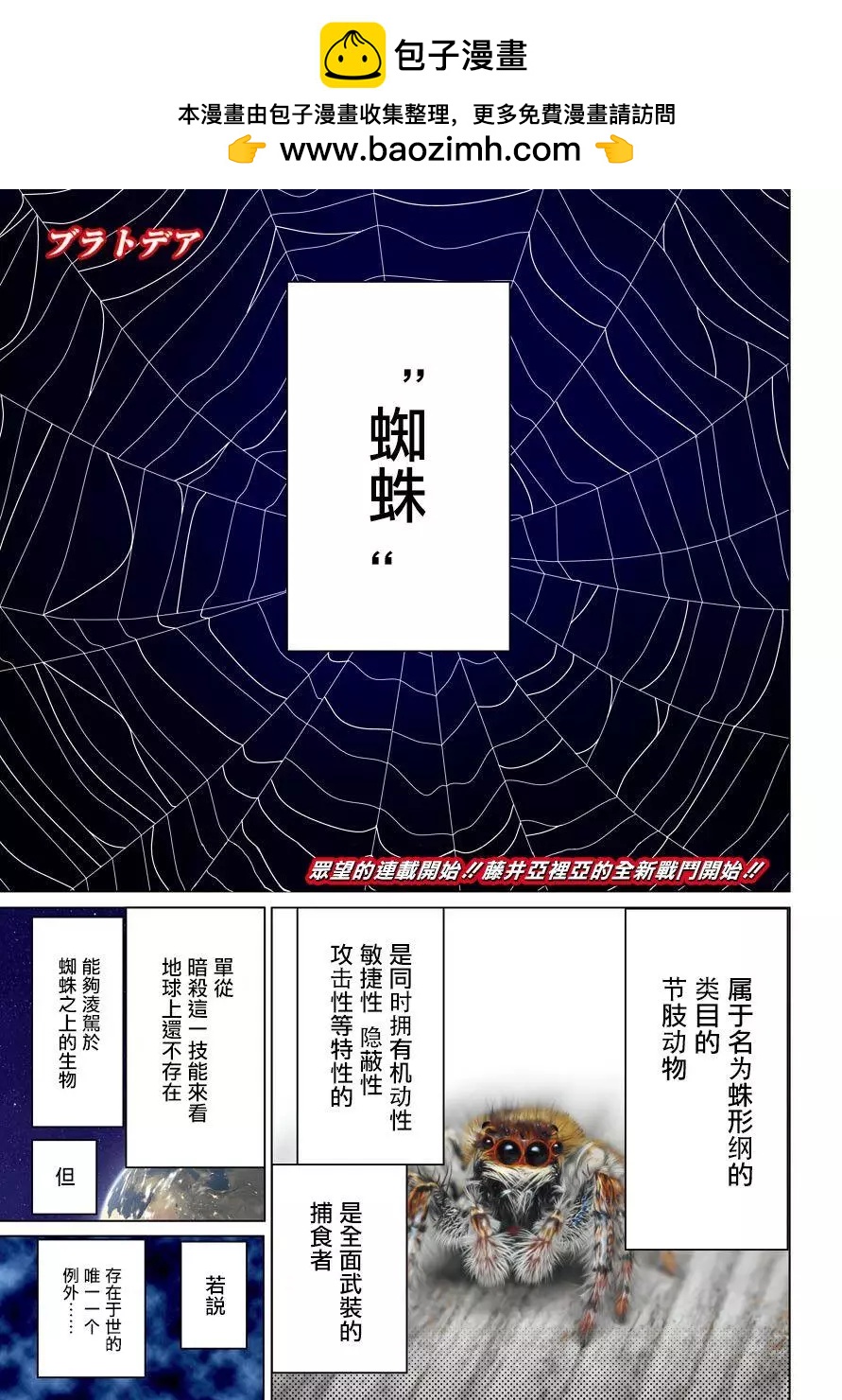 《blattodea》第0话 第2页