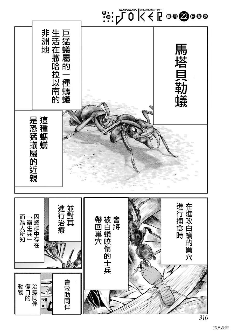 《blattodea》第04话 第30页