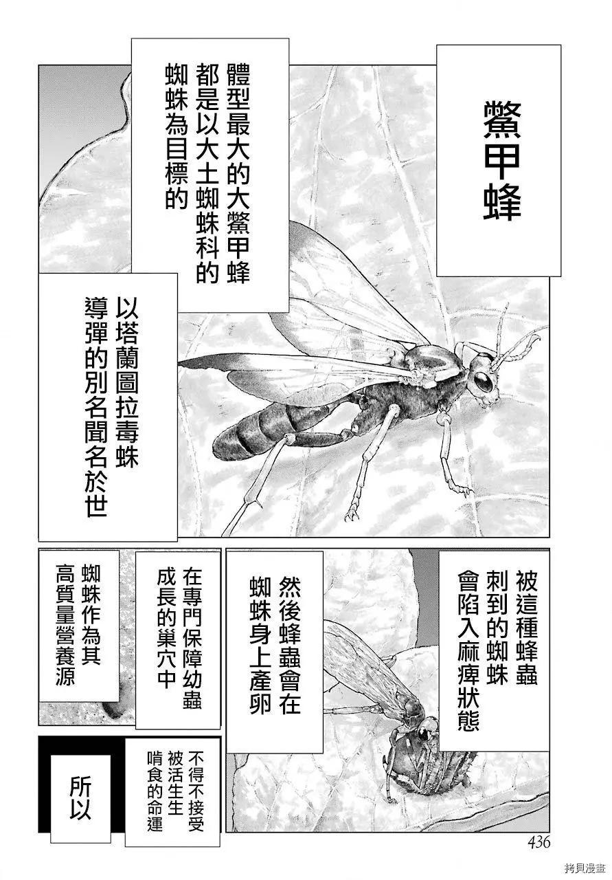 《blattodea》第10话 第18页