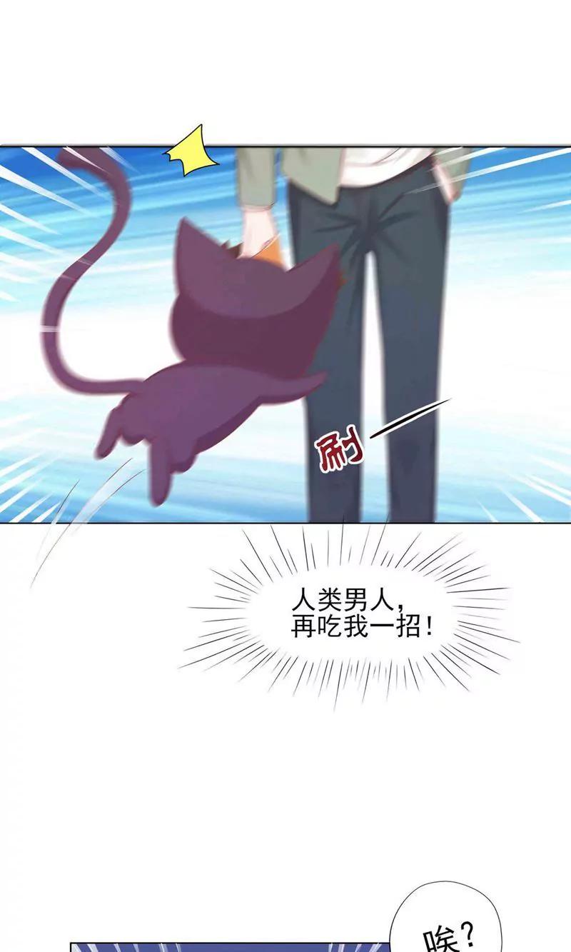 《猫妖撞上鬼夫总裁》第2话 第12页