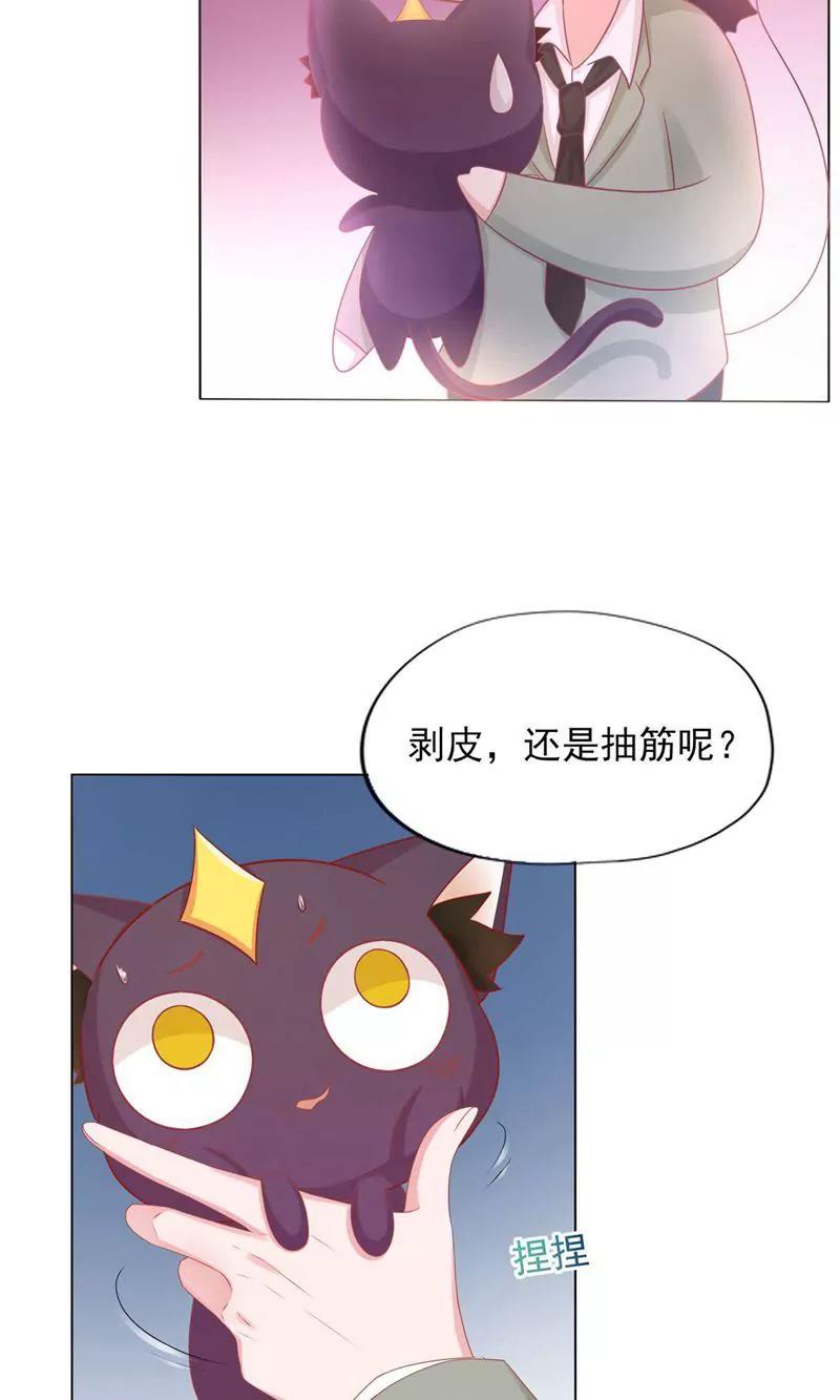 《猫妖撞上鬼夫总裁》第2话 第15页