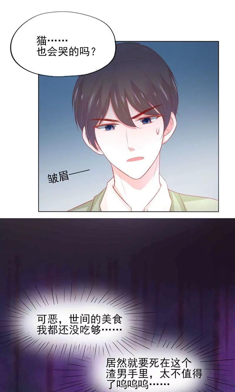 《猫妖撞上鬼夫总裁》第2话 第20页