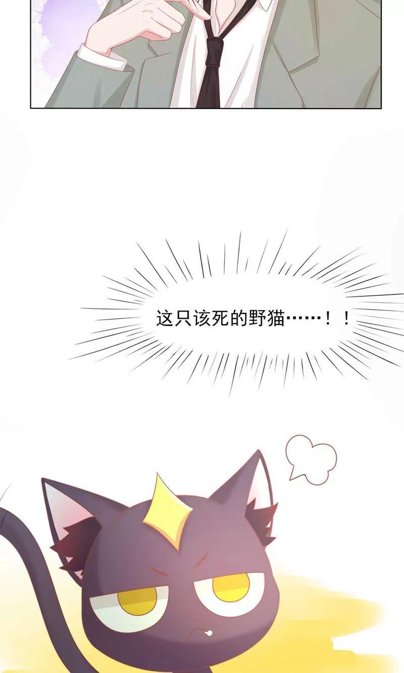 《猫妖撞上鬼夫总裁》第2话 第7页