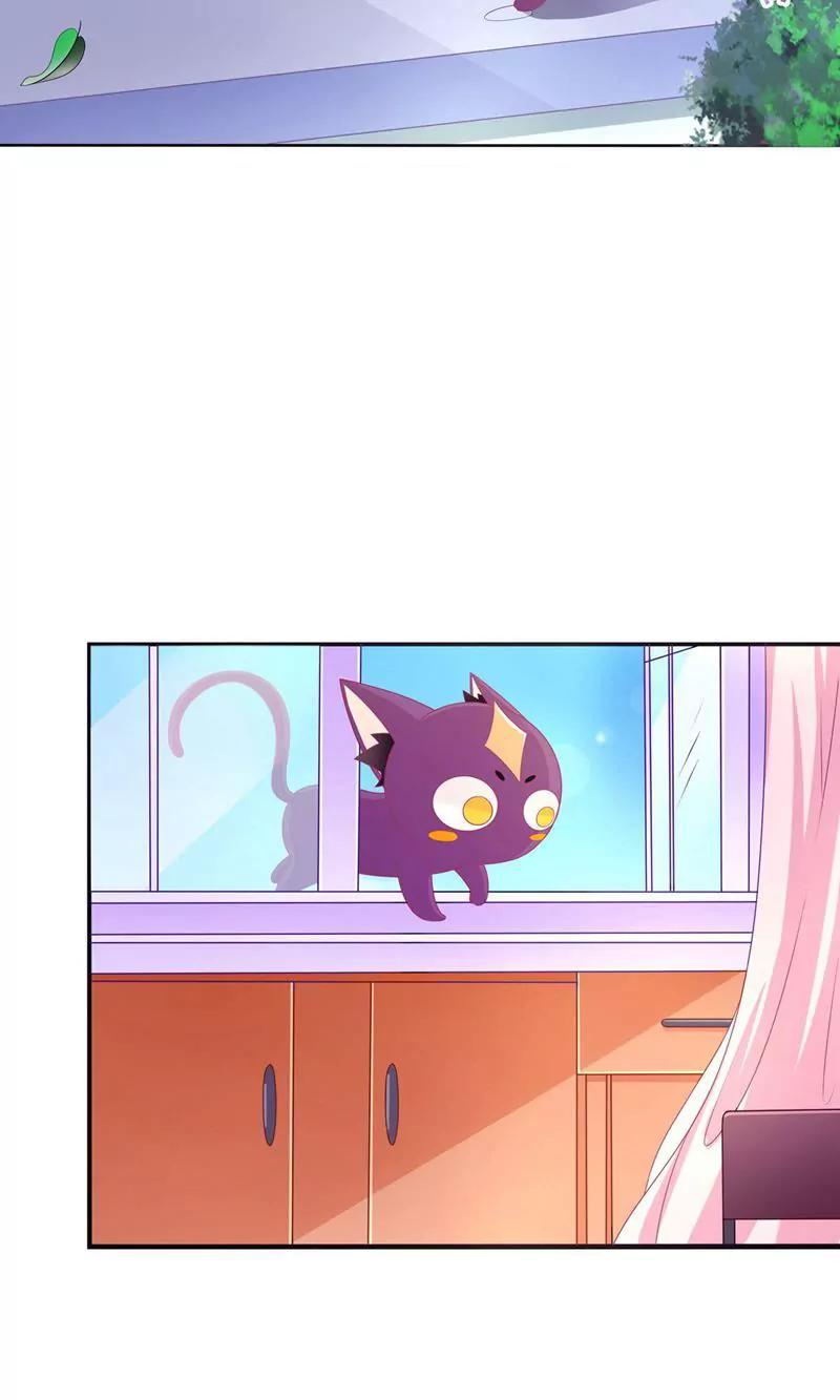 《猫妖撞上鬼夫总裁》第1话 第3页