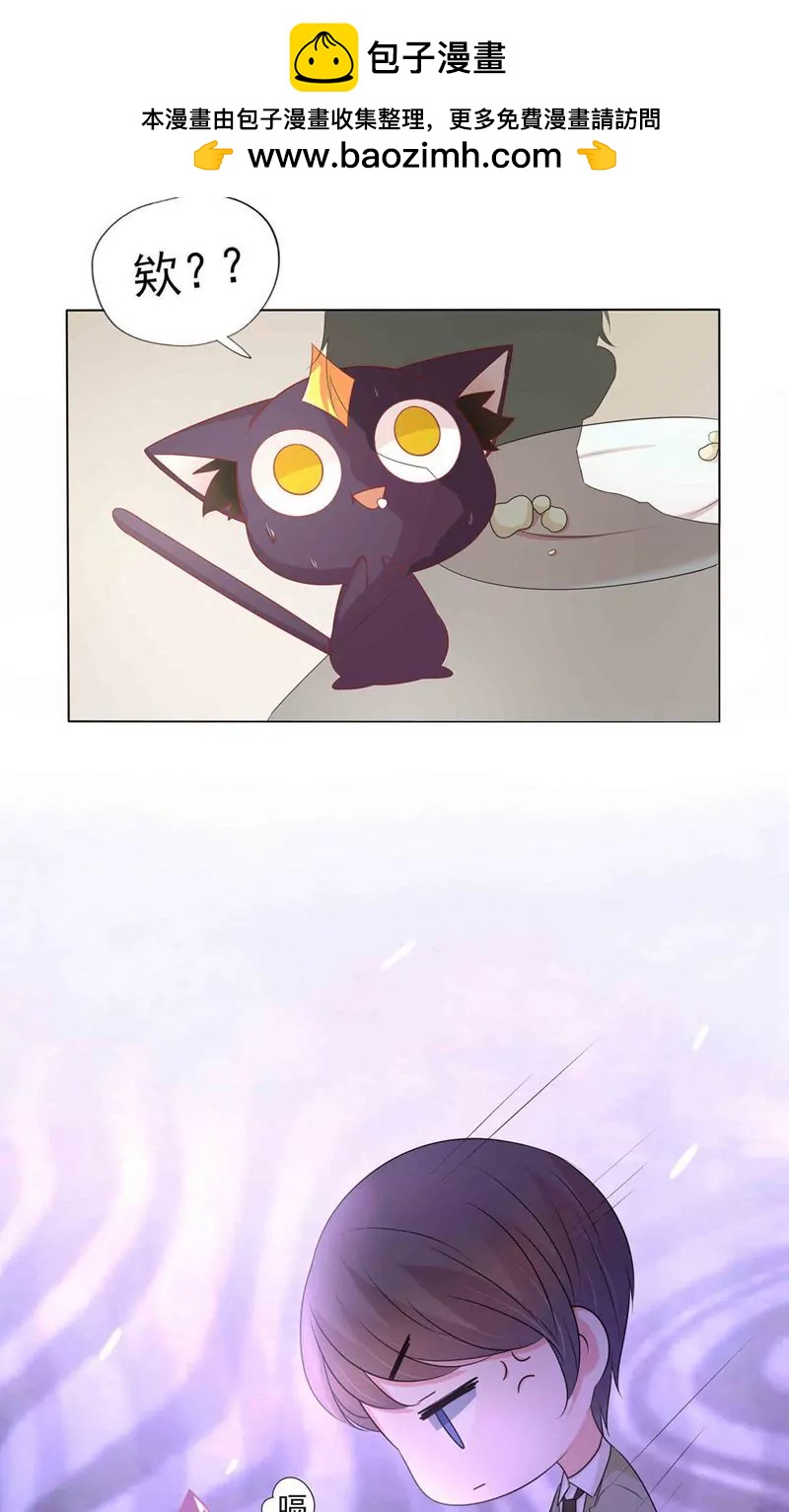 《猫妖撞上鬼夫总裁》第1话 第42页