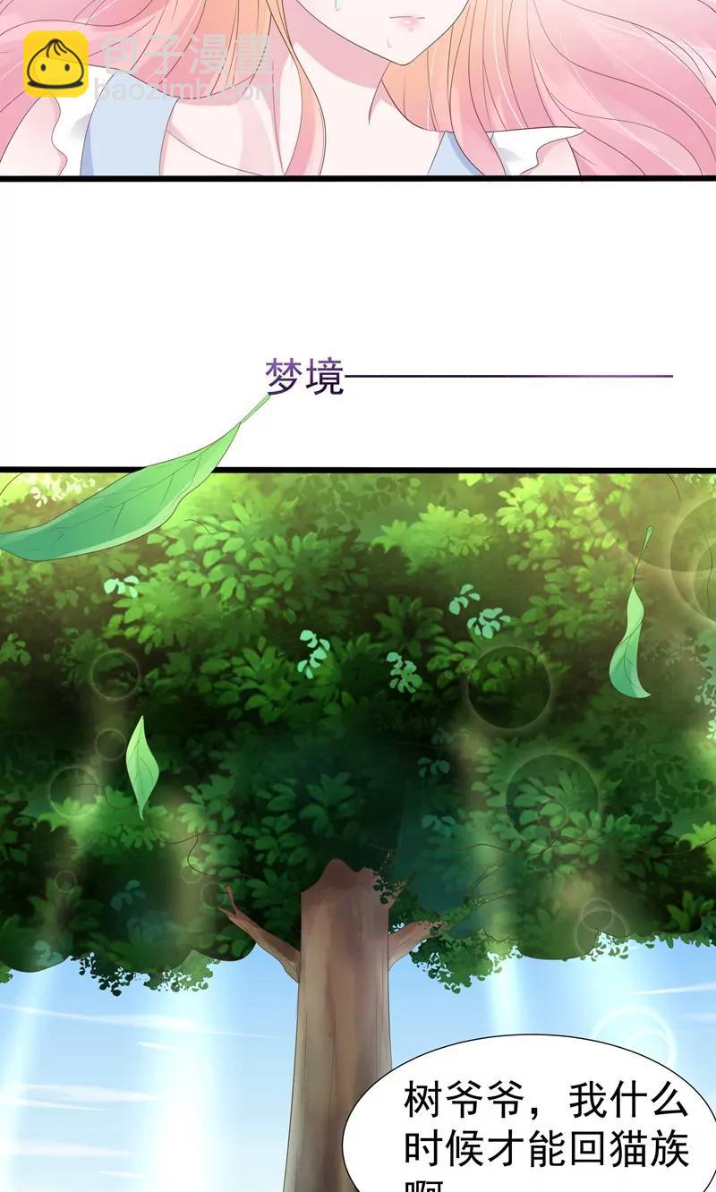 《猫妖撞上鬼夫总裁》第19话 第12页