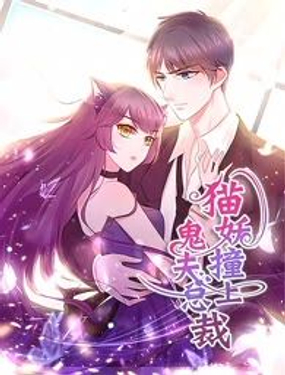 《猫妖撞上鬼夫总裁》漫画封面图 - tl漫画