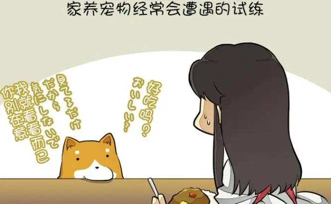 《拉包尔基地的柴犭提督和舰娘们的日常》第09回 第5页