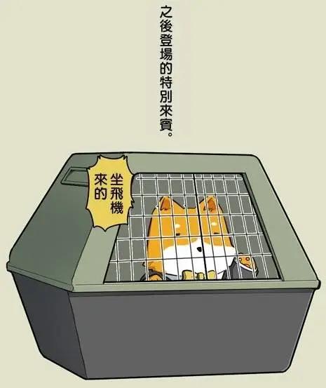 《拉包尔基地的柴犭提督和舰娘们的日常》后日谈02 第12页