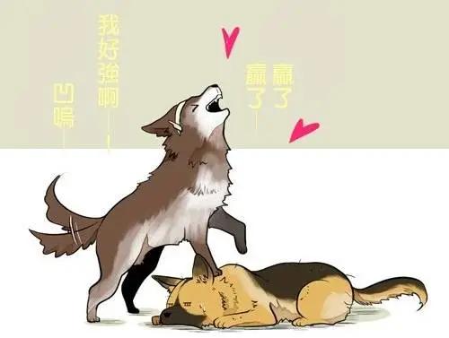《拉包尔基地的柴犭提督和舰娘们的日常》后日谈02 第14页