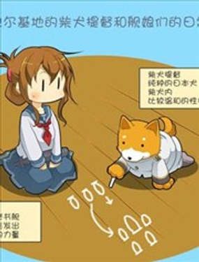 《拉包尔基地的柴犭提督和舰娘们的日常》漫画封面图 - tl漫画