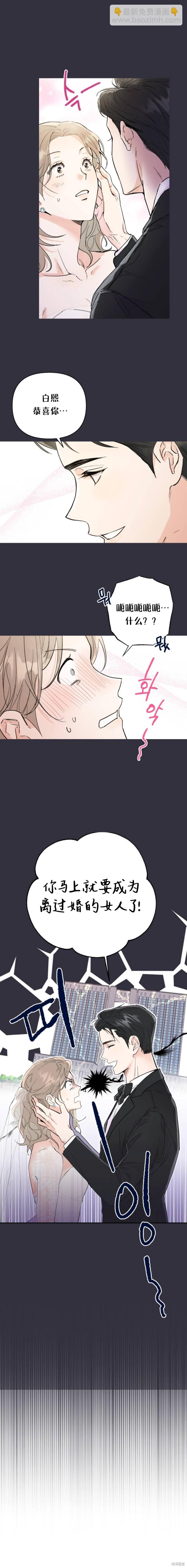 《真的真的离婚了》第4话 第4页