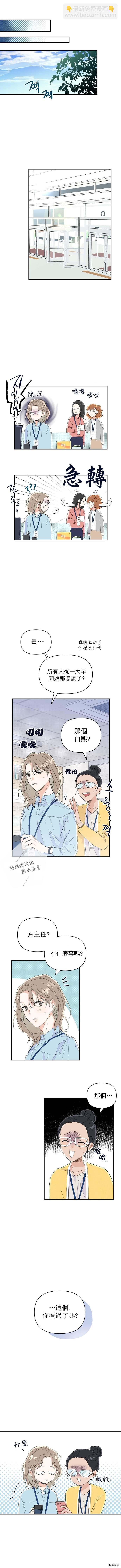 《真的真的离婚了》第1话 第8页