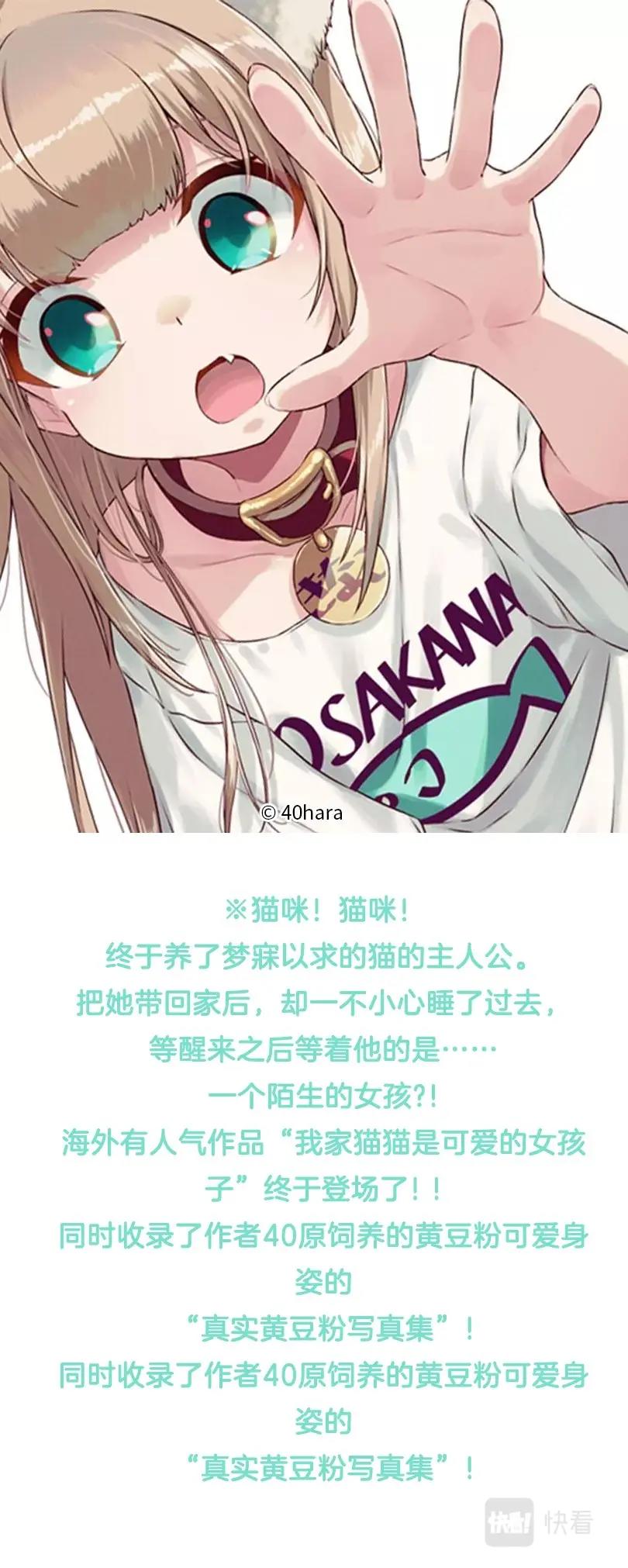 《我家的猫猫是可爱的女孩子》预热 猫猫是可爱的女孩子 第1页