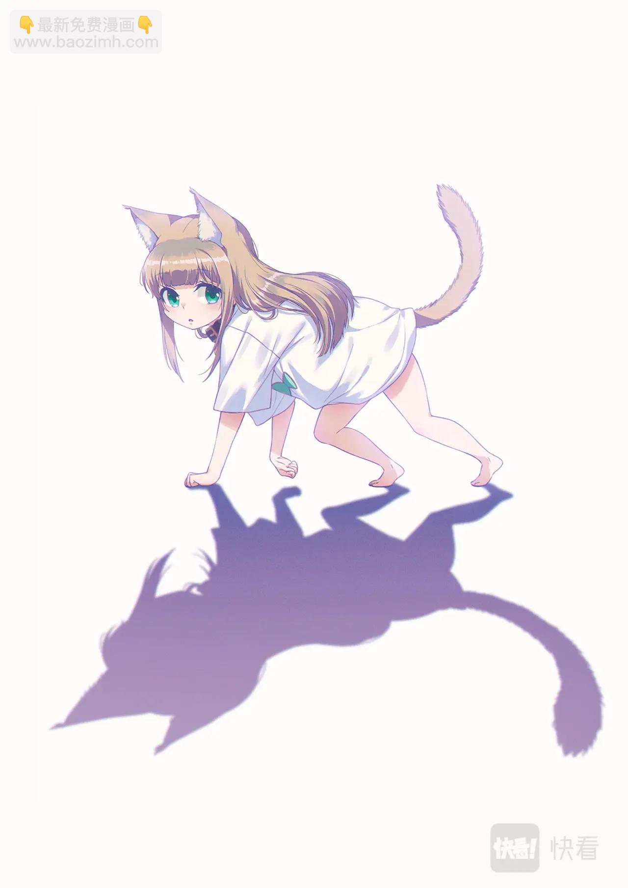 《我家的猫猫是可爱的女孩子》第2话 黄豆粉喜欢的东西 第19页