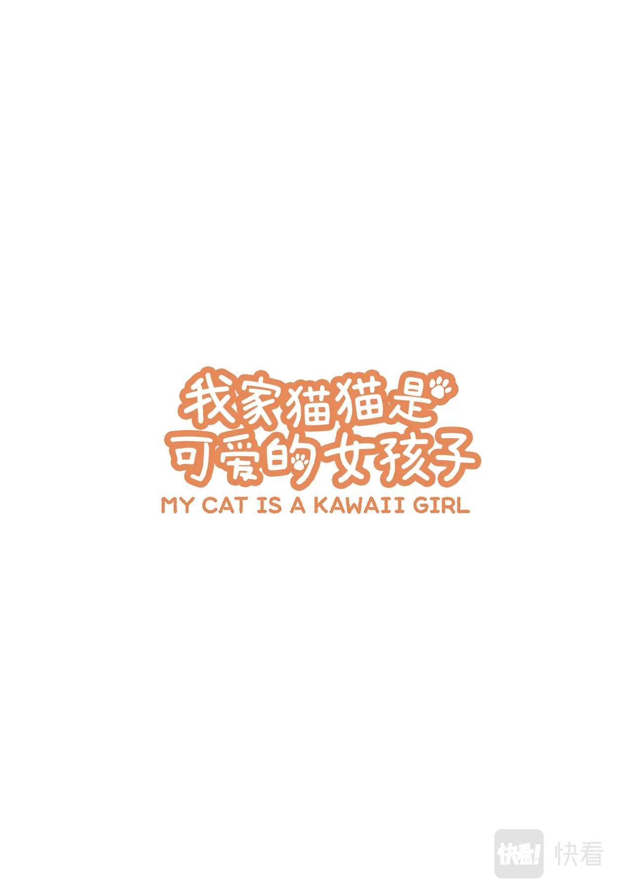 《我家的猫猫是可爱的女孩子》第2话 黄豆粉喜欢的东西 第1页