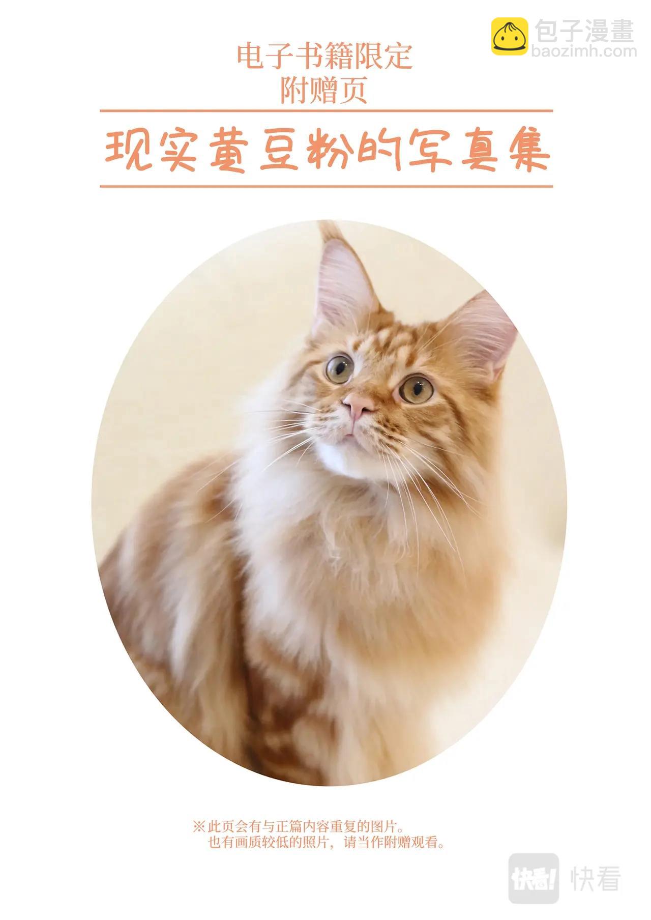 《我家的猫猫是可爱的女孩子》第2话 黄豆粉喜欢的东西 第26页