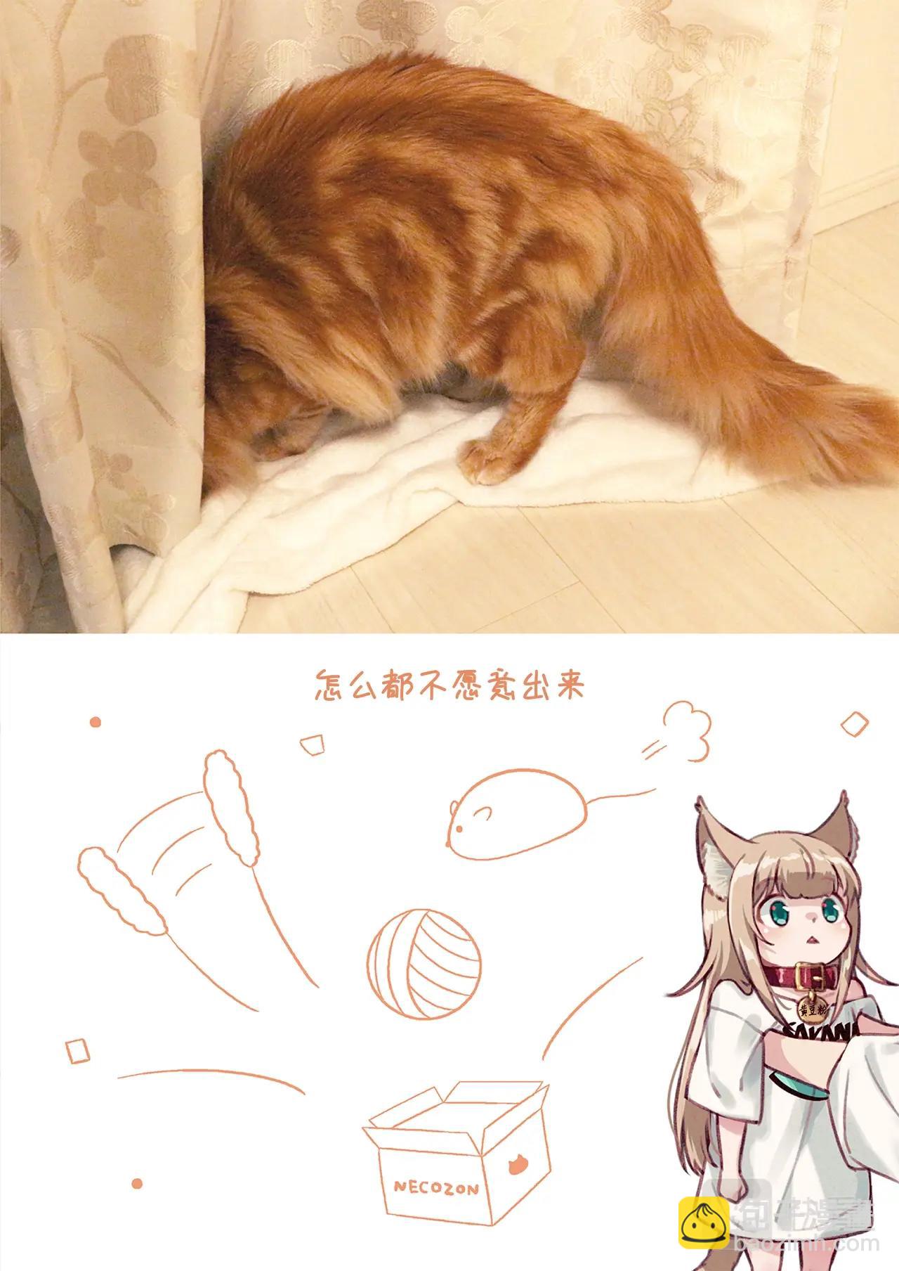 《我家的猫猫是可爱的女孩子》第2话 黄豆粉喜欢的东西 第29页